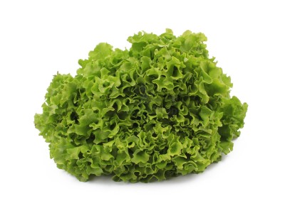 Салат романо 1 кг - купить в Копеецкой